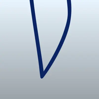 V&V